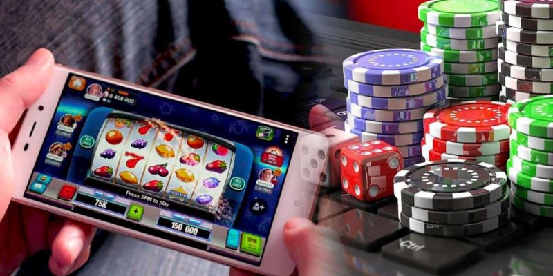 livestream rong ho thu hut nhieu nguoi tham gia dat cuoc Livestream Rồng Hổ thu hút nhiều người tham gia đặt cược